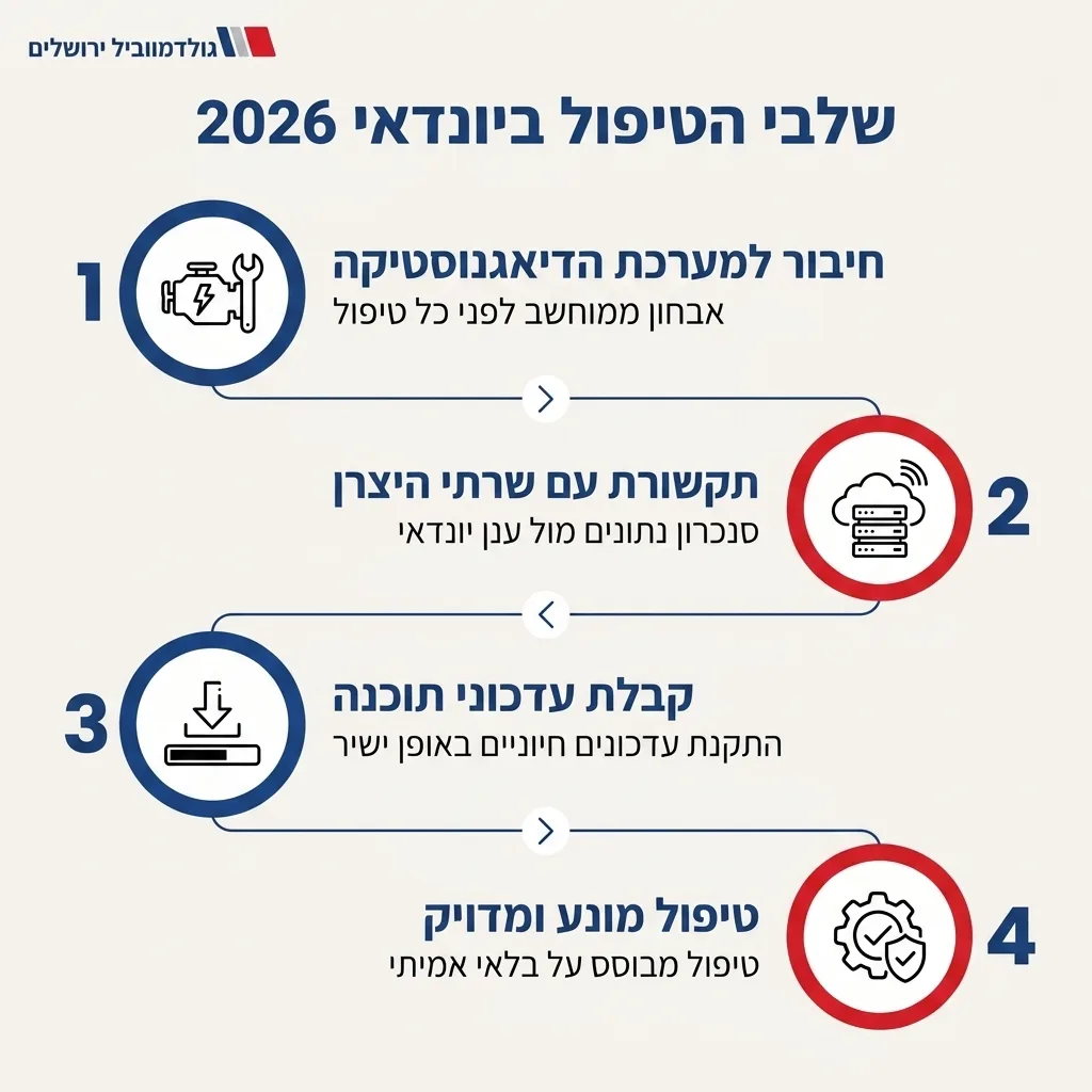 אינפוגרפיקה