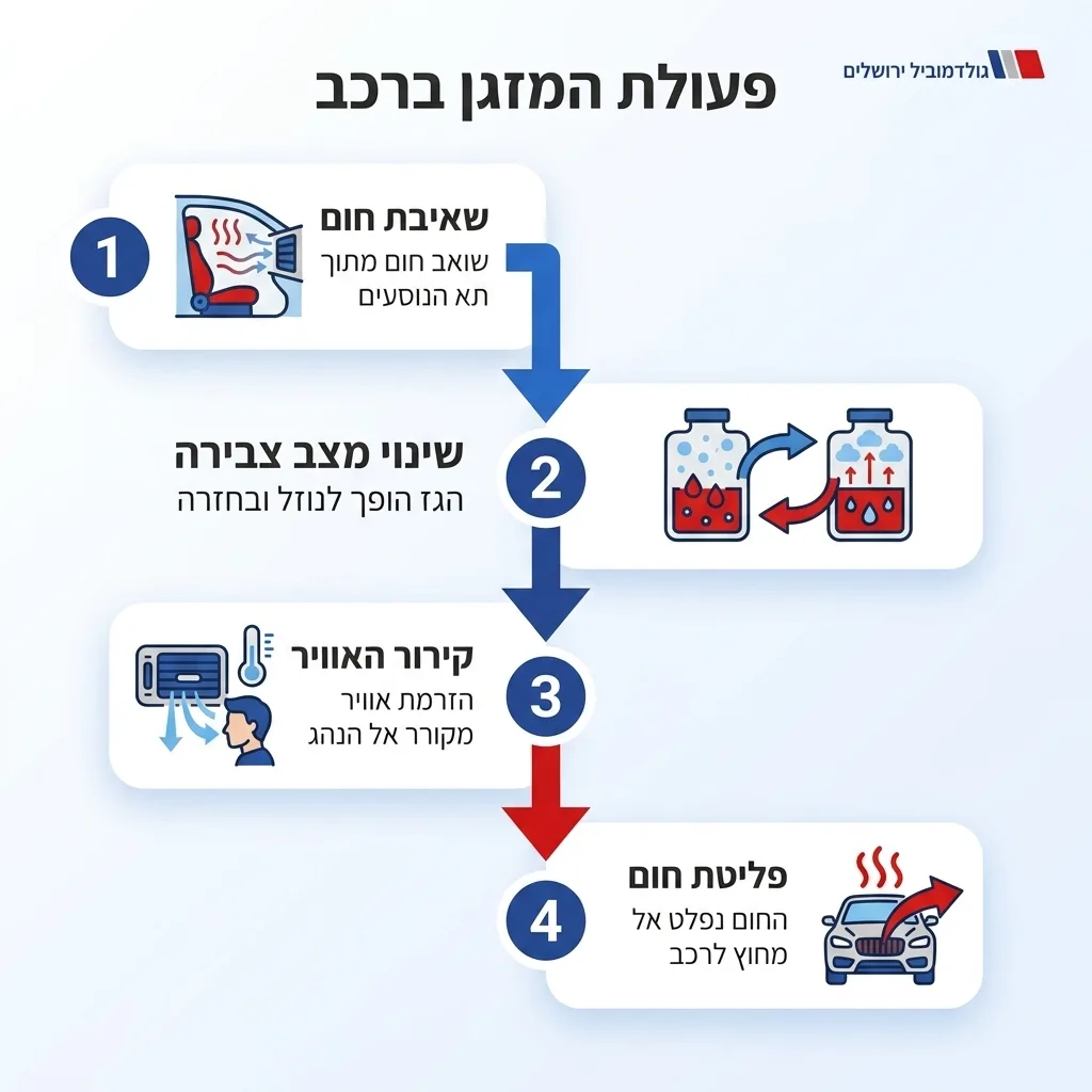 אינפוגרפיקה — פעולת המזגן ברכב: שאיבת חום, שינוי מצב צבירה, קירור האוויר, פליטת חום